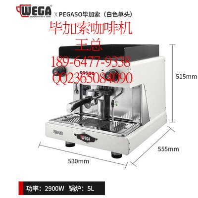 毕加索咖啡机/毕加索单头咖啡机/毕加索双头咖啡机