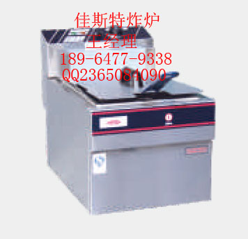 佳斯特炸炉/佳斯特电炸炉/佳斯特燃气炸炉