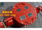BHG1-630/10矿用高压电缆两通接线盒铠装电缆