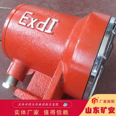 DGY3/48L矿用隔爆型信号灯机车往返运行时照明使用