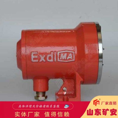 DGY3/48L矿用隔爆型信号灯使用寿命长操作简单