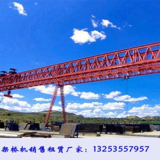 湖北仙桃龙门吊租赁厂家10t80吨轨道门式起重机优势