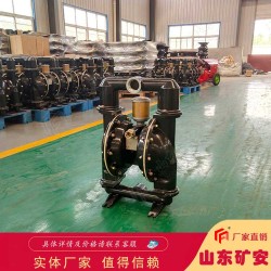 BQG360/0.2气动隔膜泵占地面积小 安置简便经济