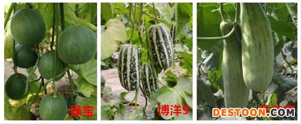 QQ截图20201105103031_副本