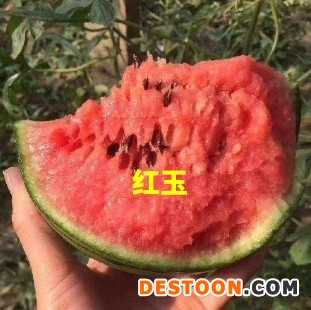 微信截图_20250117092633_副本