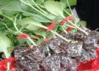 潼关春茬薄皮甜瓜苗,澄城育博洋9\羊角蜜甜瓜苗基地