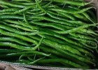 淮南批发二荆条辣椒苗,蚌埠育朝天椒\线椒苗厂家2025