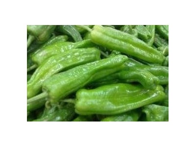 芦溪育黄线椒苗 黑线椒苗,新余抗病强辣椒苗育苗厂家