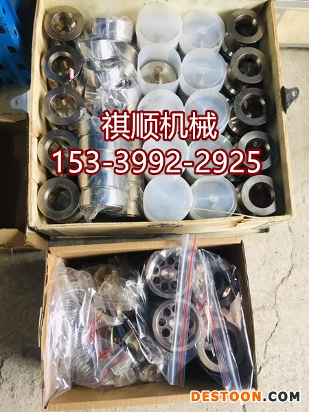 WRB200/31.5乳化液泵滤芯 蓄能器 网式滤油器