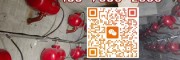 KQP100L空气炮安装图纸 100L空气炮活塞缸筒