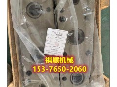 RB125.01-1乳化液泵后盖板 透视片游标压板