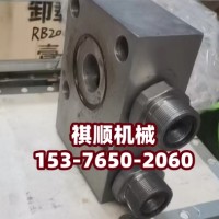 BP160高压清水泵高压胶管 网式滤油器泵头